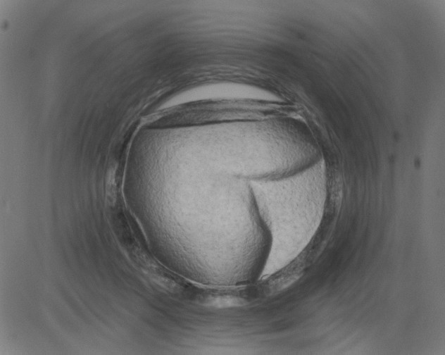 X0000081480360200702100011