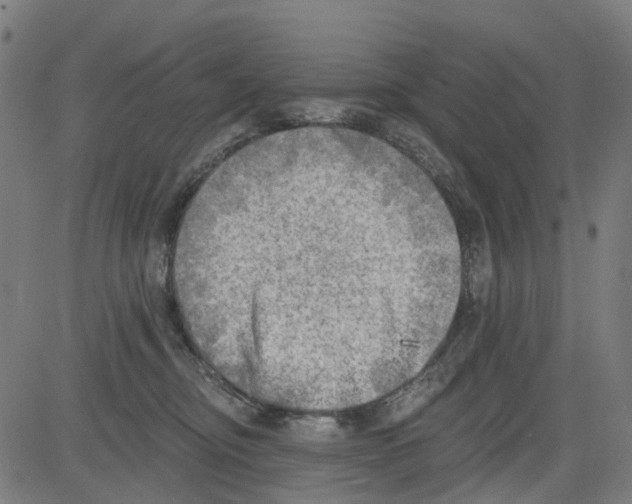 X0000081480374200702100011