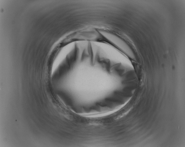 X0000081480388200702100010