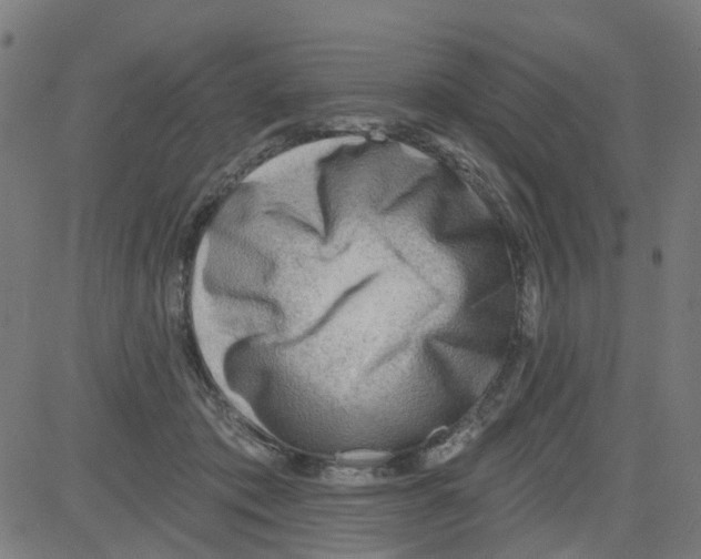 X0000081480413200702100010