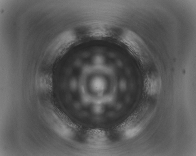 X0000081480421200702100010