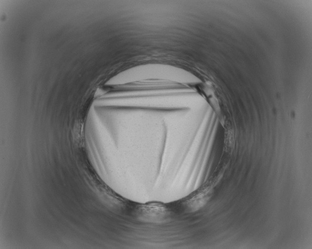 X0000081480429200702100010