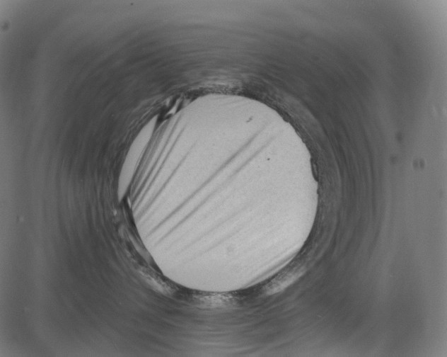 X0000081480432200702100010