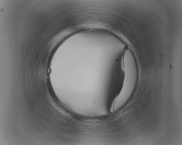 X0000081480438200702100009