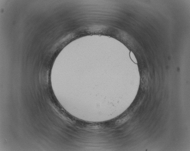X0000081480454200702100009