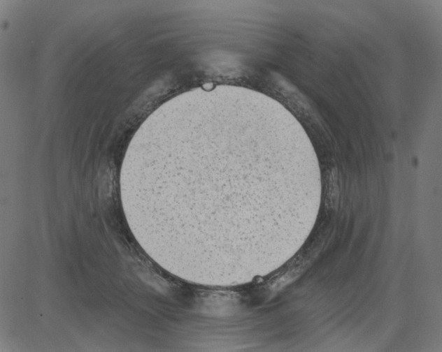 X0000081480463200702100009