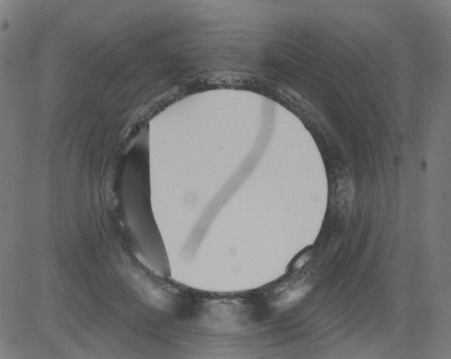 X0000081480508200702100008