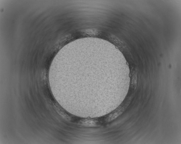 X0000081480518200702100008