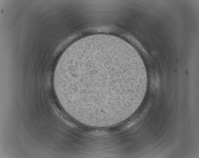 X0000081480537200702100007