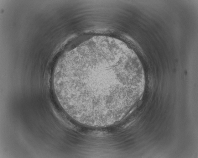 X0000081480542200702100007