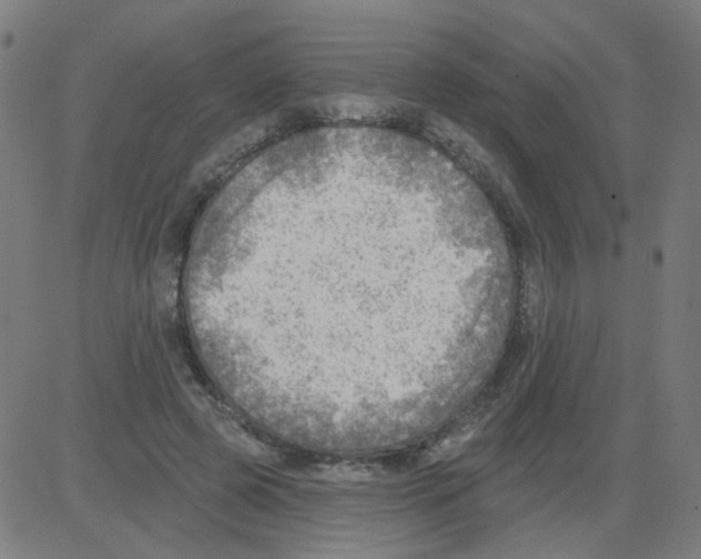 X0000081480545200702100007