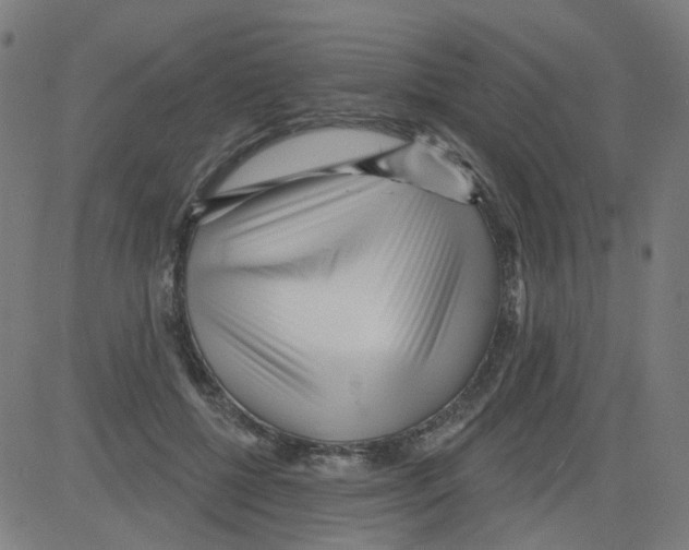 X0000081480552200702100008