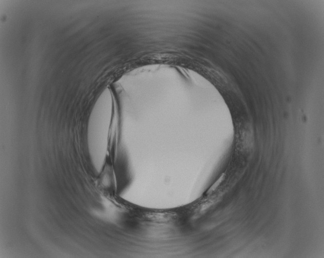X0000081480558200702100008