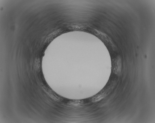 X0000081480563200702100008