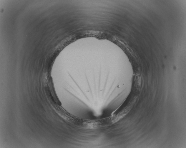 X0000081480564200702100008