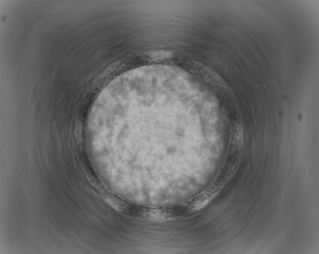 X0000081480565200702100008