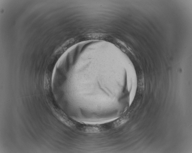 X0000081480572200702100008