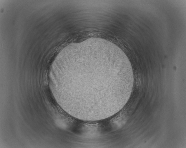 X0000081480606200702100007