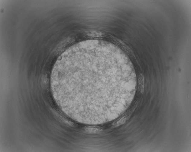 X0000081480614200702100007