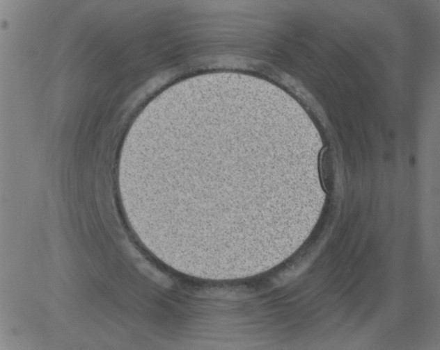 X0000081480625200702100006