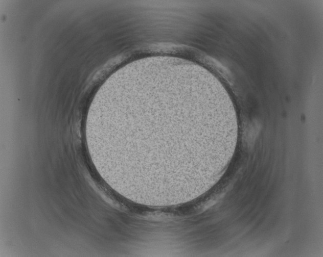 X0000081480633200702100006
