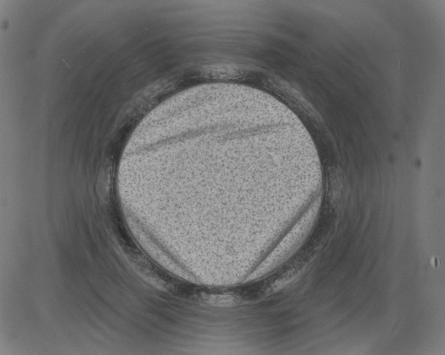 X0000081480645200702100006