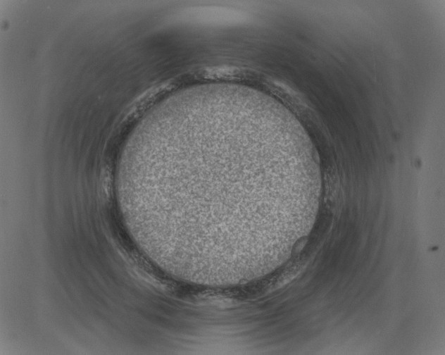 X0000081480648200702100006