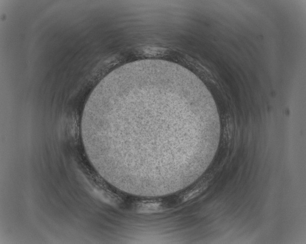 X0000081480651200702100006