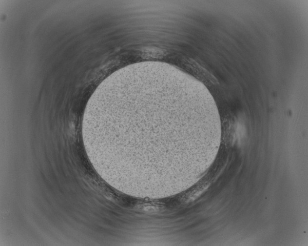 X0000081480655200702100006