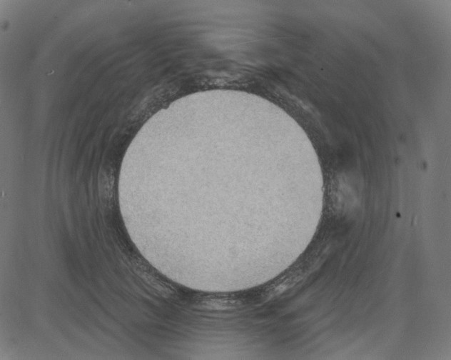 X0000081480657200702100006