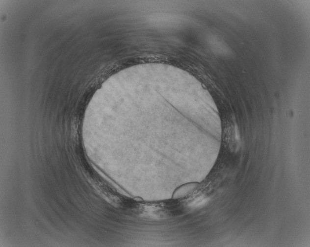 X0000081480662200702100006
