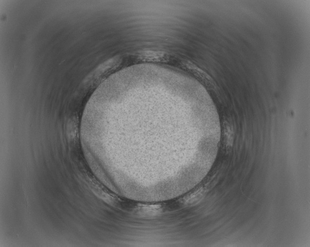 X0000081480665200702100006
