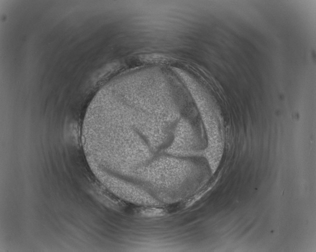 X0000081480669200702100006