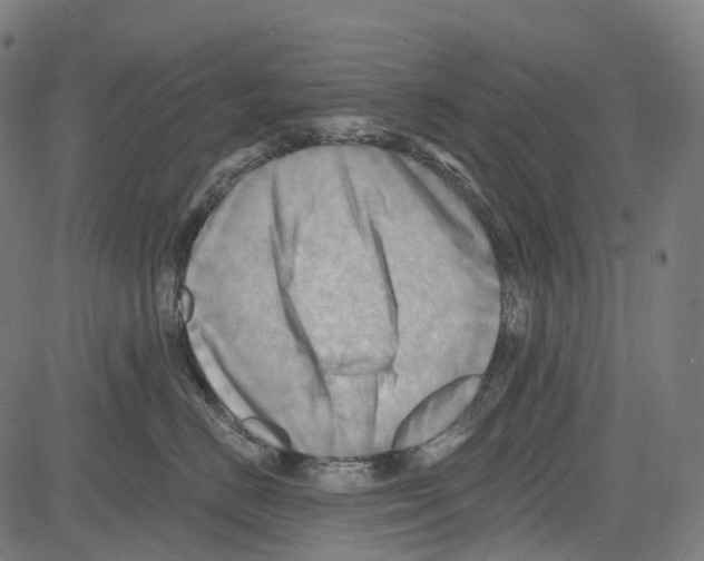 X0000081480670200702100006