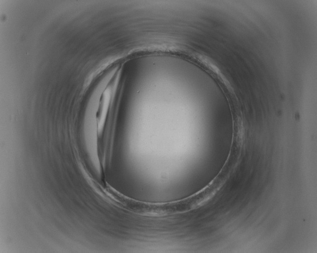 X0000081480677200702100006