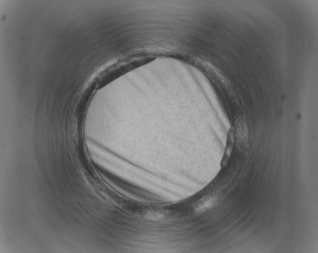 X0000081480684200702100005