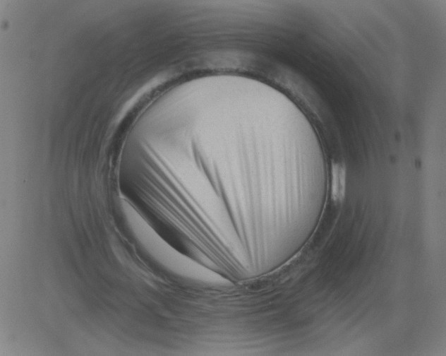 X0000081480723200702100004
