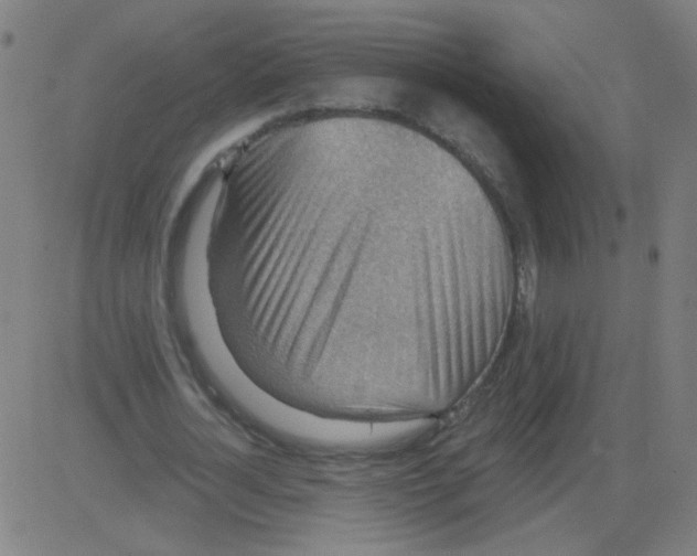 X0000081480724200702100004