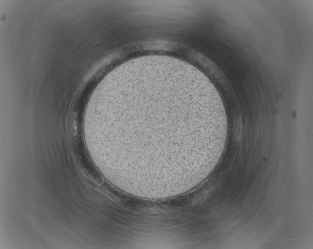 X0000081480731200702100004