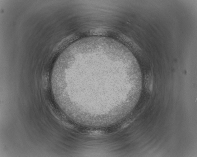 X0000081480741200702100004