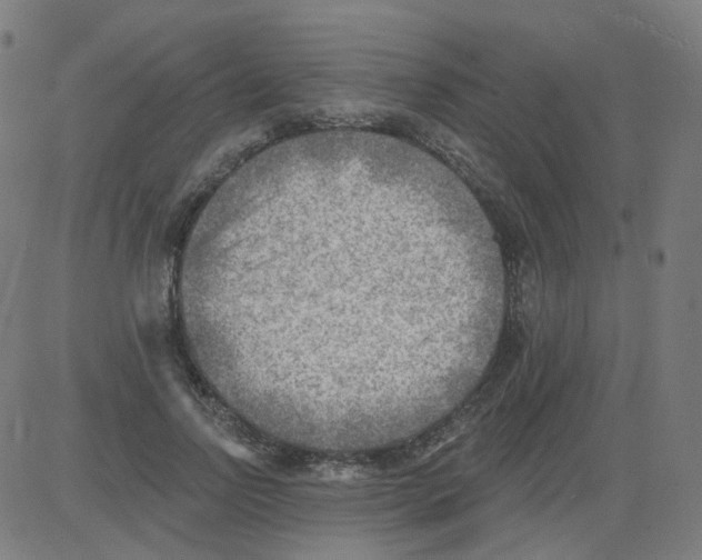 X0000081480742200702100004