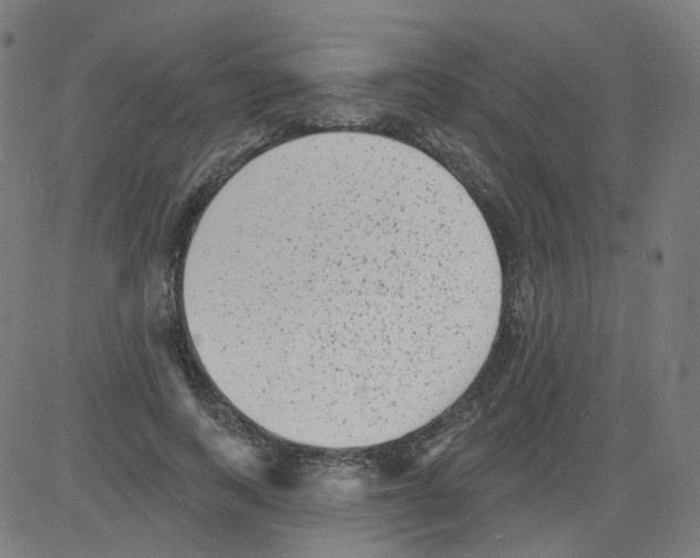 X0000081480743200702100004