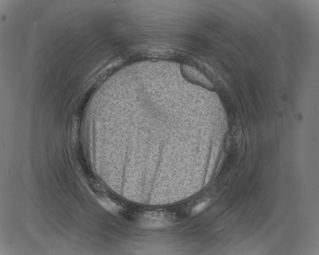 X0000081480744200702100004