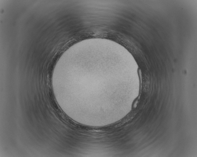 X0000081480748200702100004