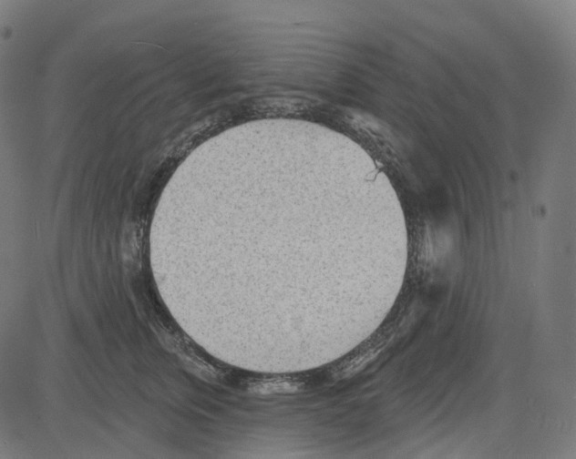 X0000081480759200702100005