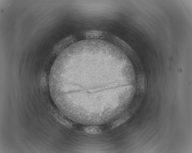 X0000081480761200702100005