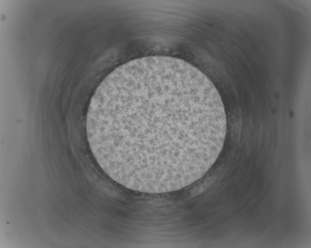 X0000081480769200702100004