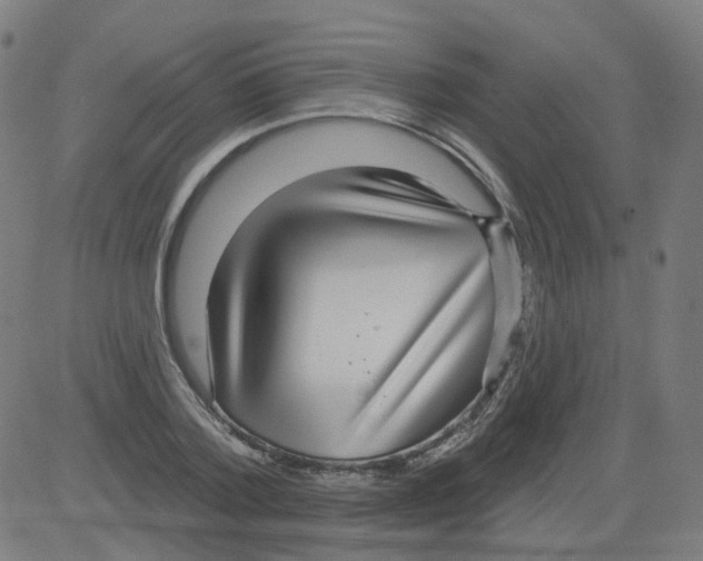 X0000081480788200702100004