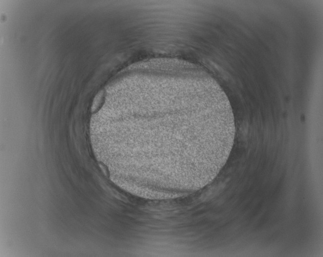 X0000081480817200702100002