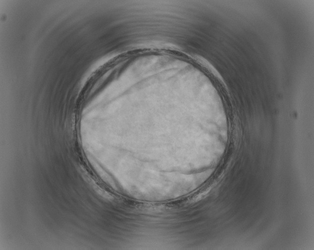 X0000081480831200702100003